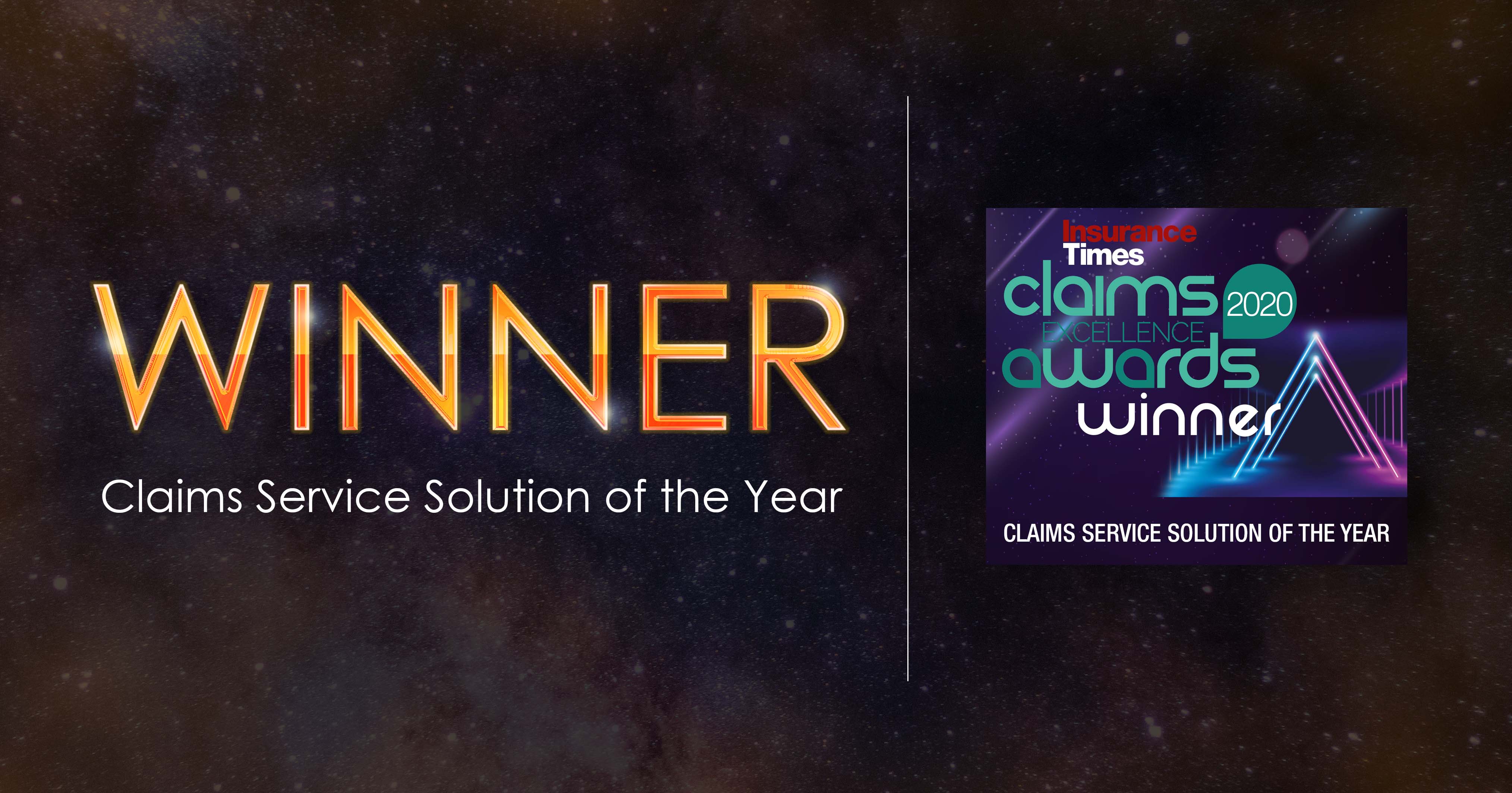 Claims Solution of the Year - Winners Badge